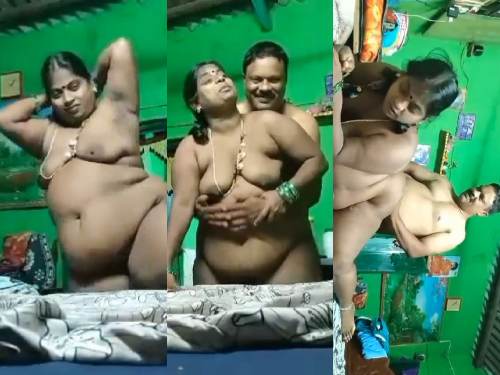 Big ass South Indian aunty sex from back side