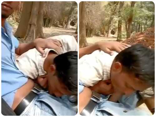 Cock hungry slut sucking stranger on park bench